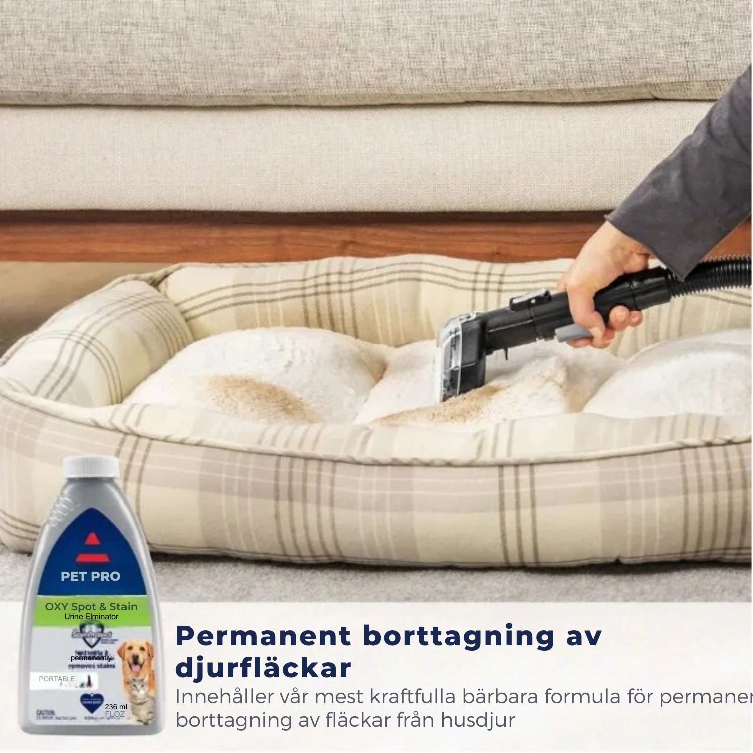 CleanJet™ Bärbar Mattoch Klädselrengörare