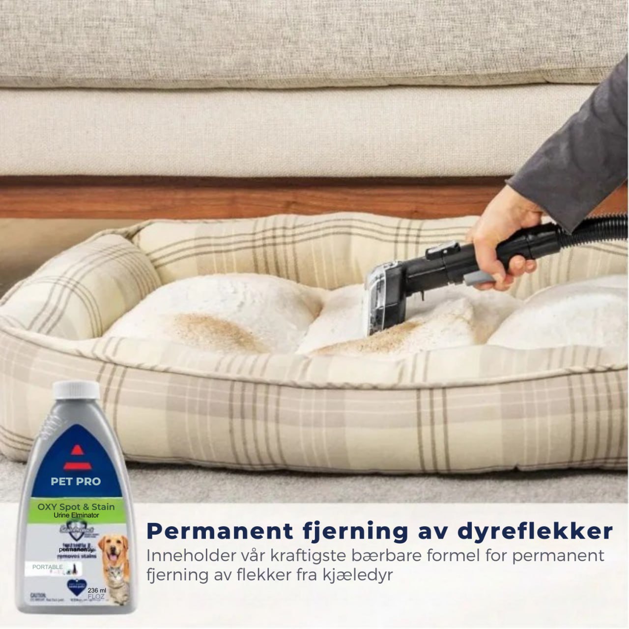 HomeChamp™ Bærbar teppe- og møbelrens